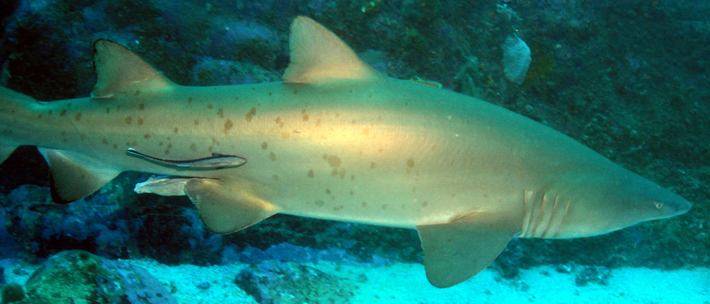 34bc83b2-8fdd-4deb-9955-687acc269c3a