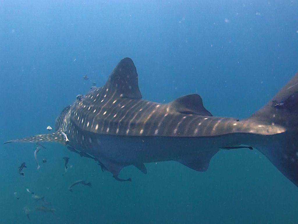 9d2b1b74-0f14-486a-967b-0eaa426b2cde