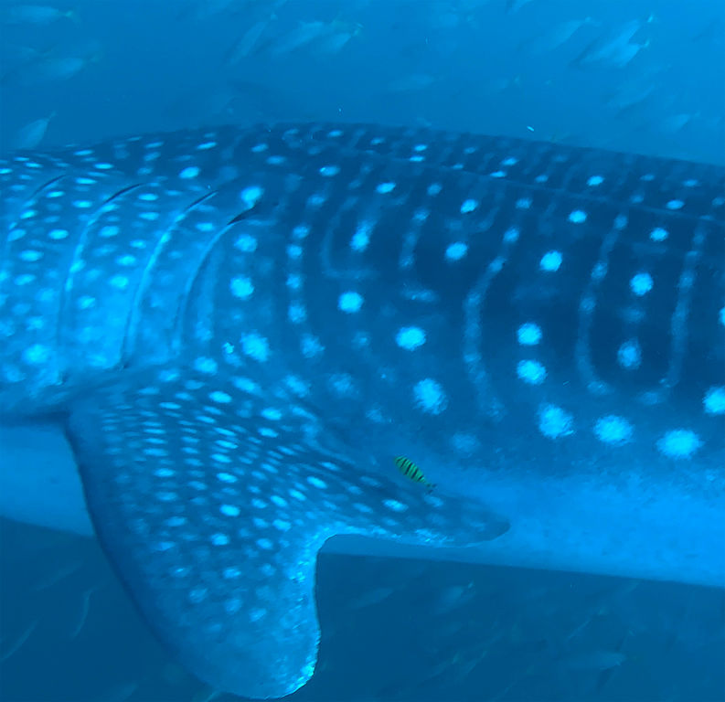 7f6dce45-0765-4205-8548-47fe39773e94