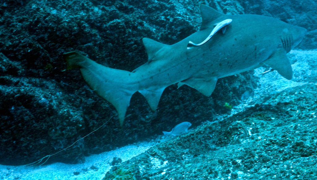 3f72451d-97dc-49de-8c46-76c6f74602b7