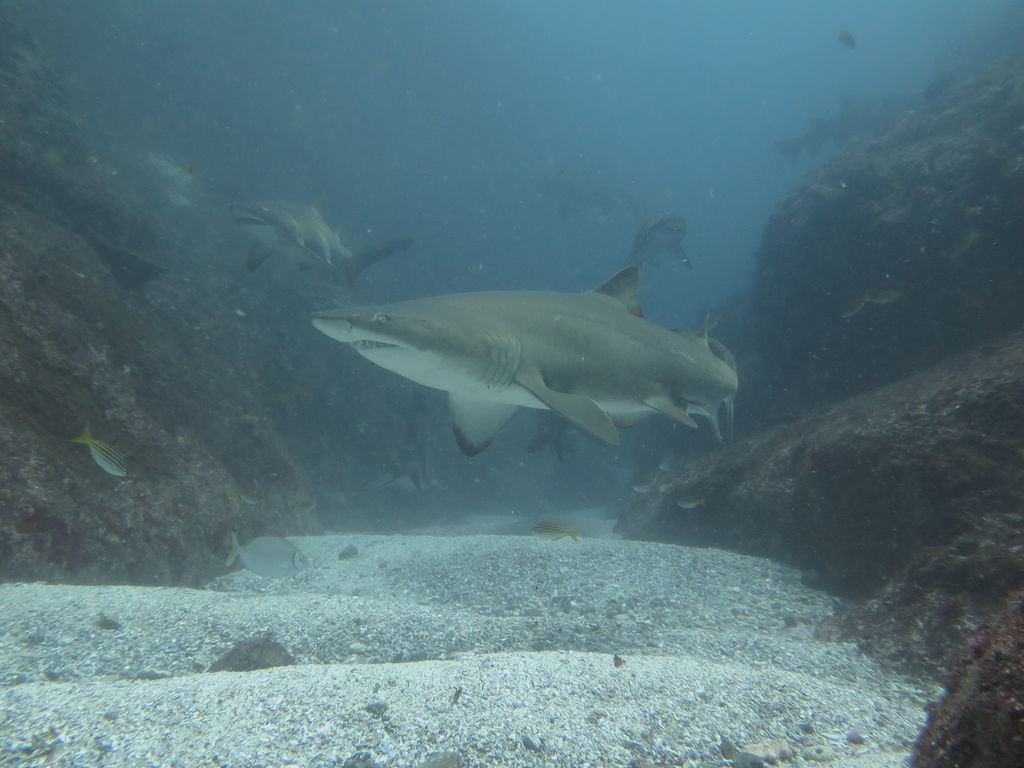 0ad2062d-baea-4a72-b2ca-9ac1a3abf9e7