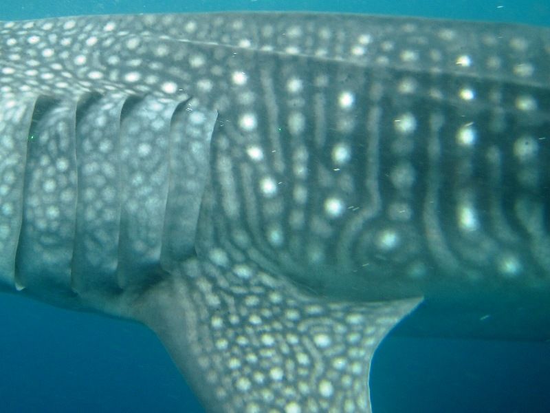 ad05f91d-ff54-47b5-b8b0-51d4800c0ea4