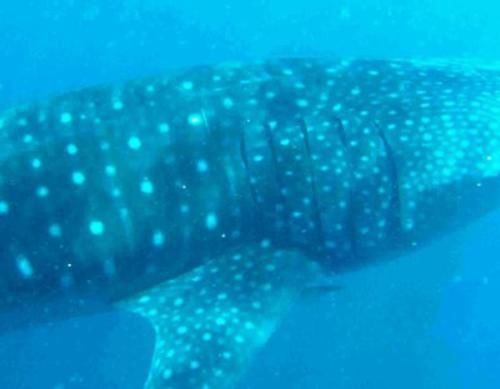 cd418d53-69b6-4d47-9d07-a7701d983a21