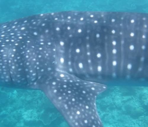 cd418d53-69b6-4d47-9d07-a7701d983a21