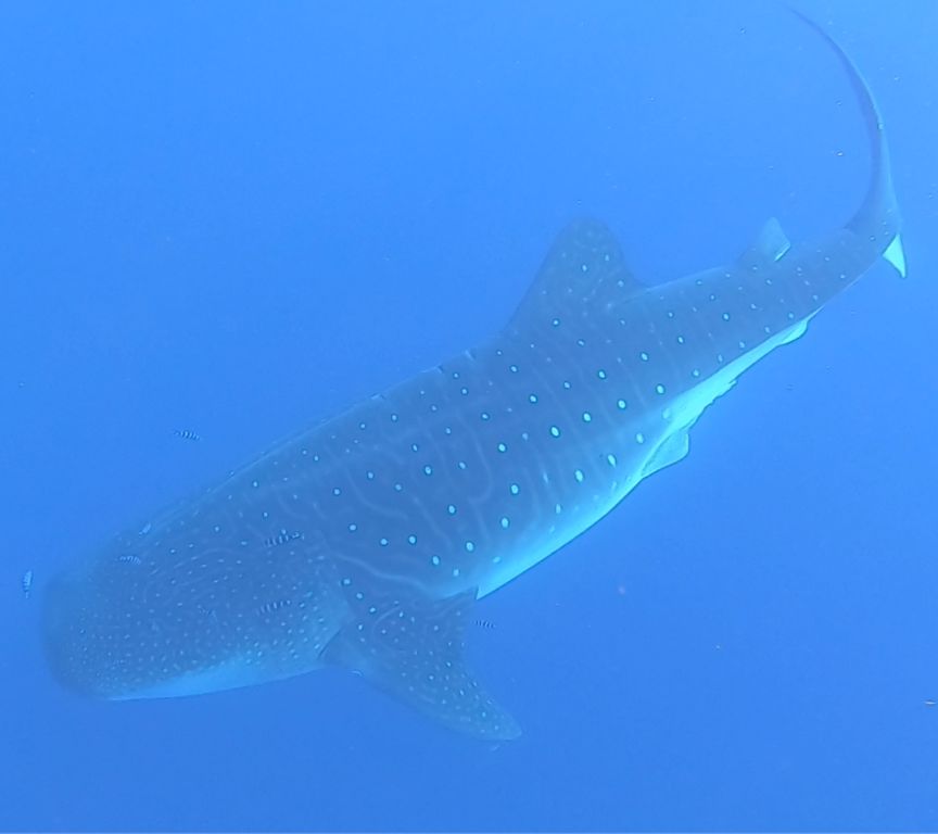 c8d30186-6509-407d-9720-78ac062736aa