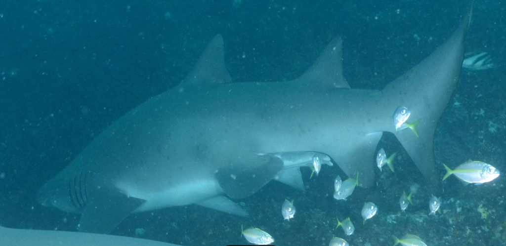 4d2f8291-bef8-4bfa-b762-cc24fb41578e