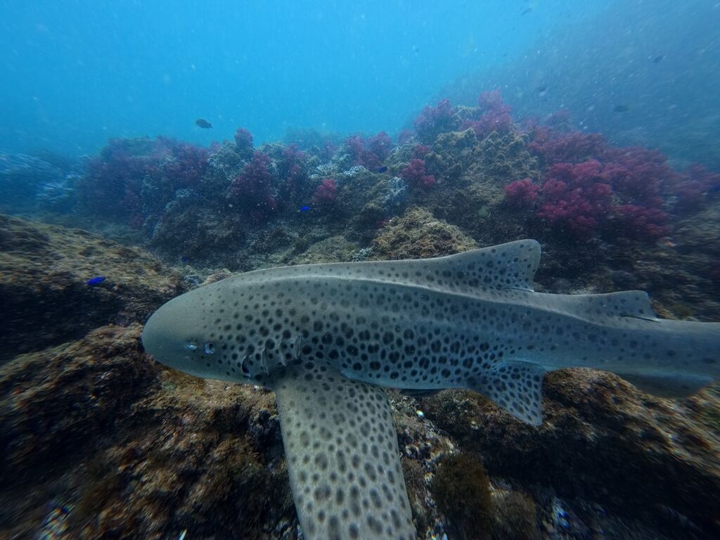 a8a27b58-d8a5-45bd-b2a0-c9a9b0756f02