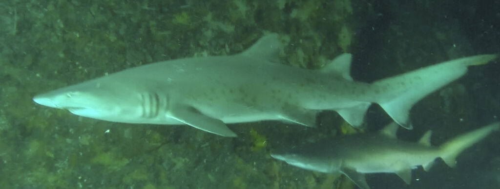 45a9f87b-291f-4d2d-a9c5-2c80aa43c9cb