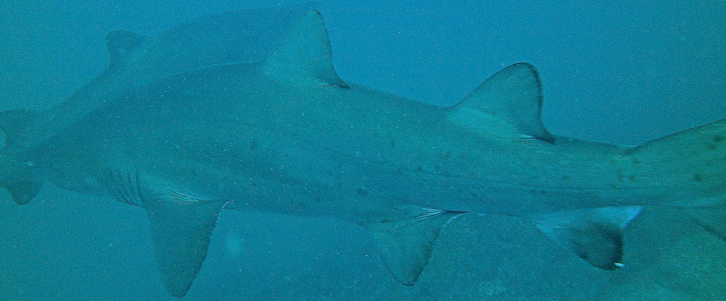 33dc2289-2fe9-4de3-bbeb-900c7402f451