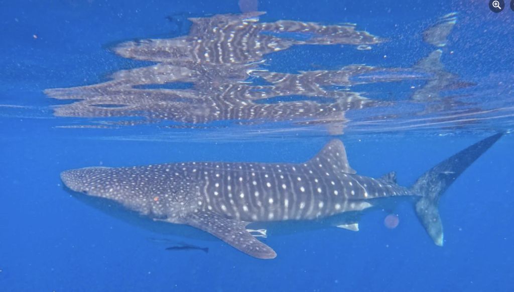 d97ac113-b3d3-4ca7-a440-1dd75df61c62