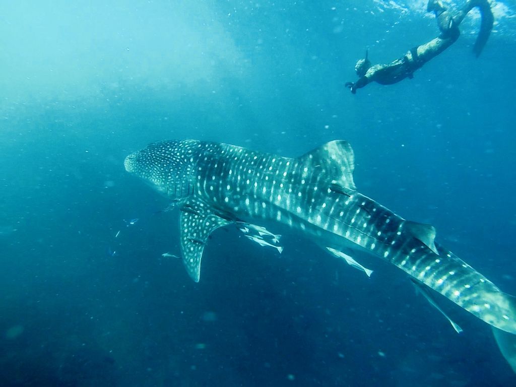 891526bd-b091-4544-a338-cd01477029fd