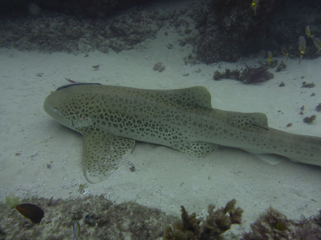 757db01b-343e-4d77-ae87-f54fcfd2884c