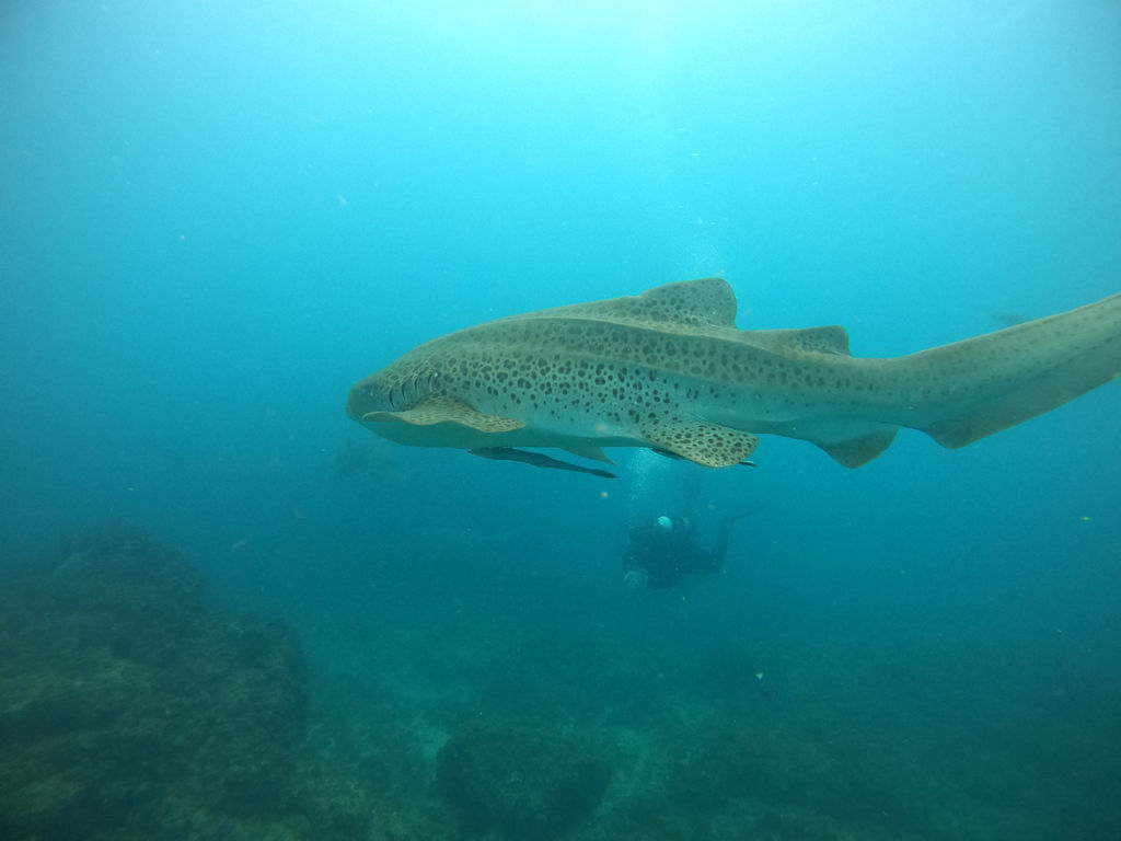 13a22aee-76a1-4e2a-b11b-81b5c2d3bdd1