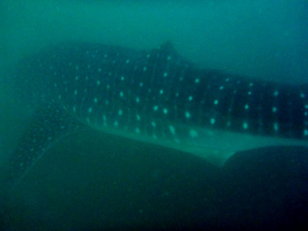 d76e0622-ca2e-4395-ac22-e4ed2baee3fb