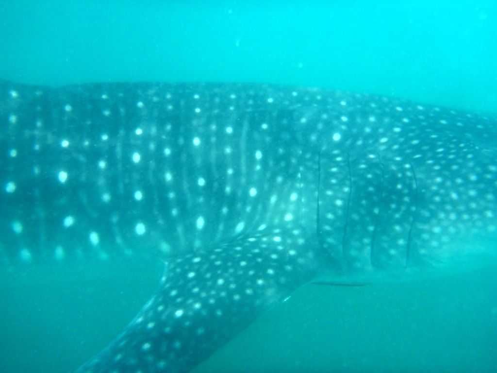 d76e0622-ca2e-4395-ac22-e4ed2baee3fb