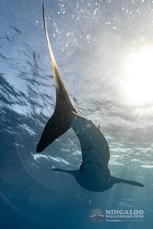 5a26cb63-37e4-4915-b944-7ed6738a4295