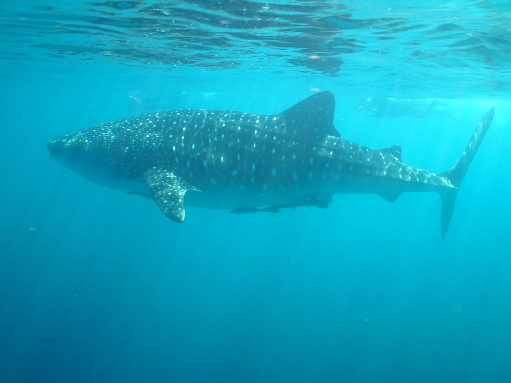 8414d138-032b-4bf0-9afc-843ce6e63a01