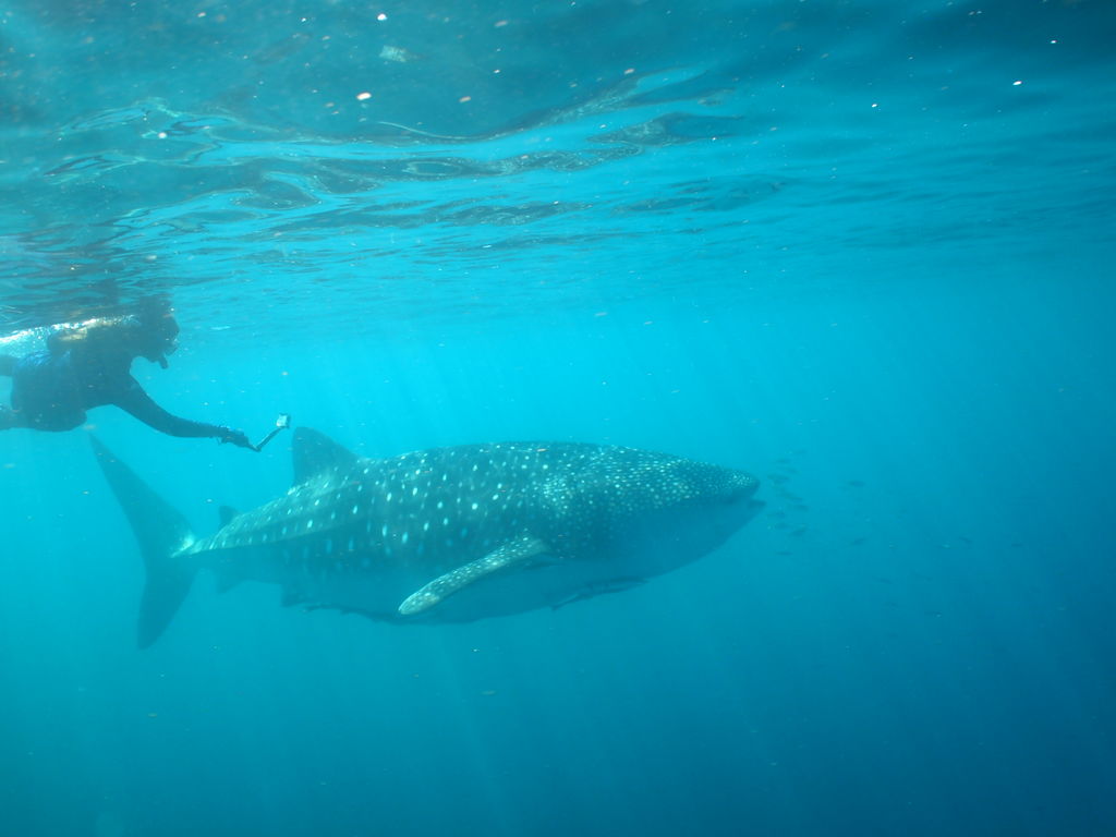 8414d138-032b-4bf0-9afc-843ce6e63a01