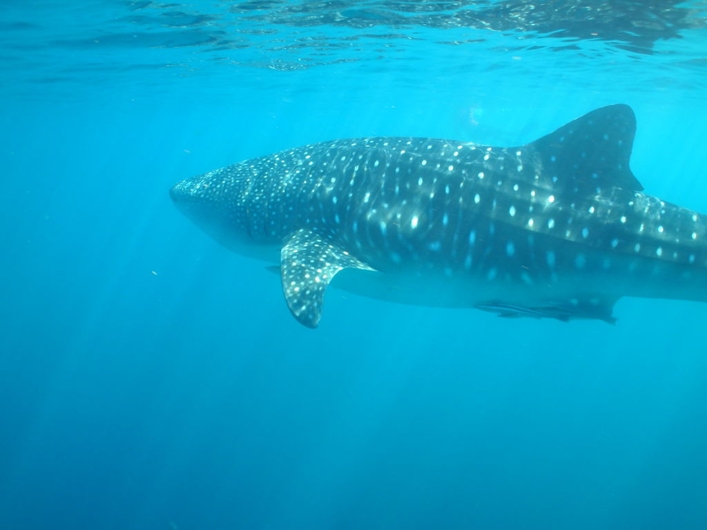 8414d138-032b-4bf0-9afc-843ce6e63a01