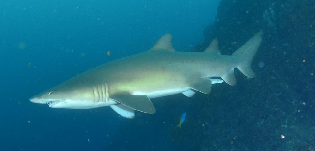 859c53c5-613f-4414-b48f-e8cb34320c8b