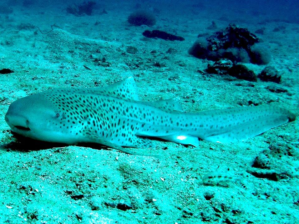 fb9950a8-83ac-464e-87df-2d8bfdbace8b