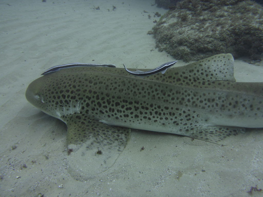 095ba2d4-9aaf-4fd9-bf07-e9441a2ba0cb