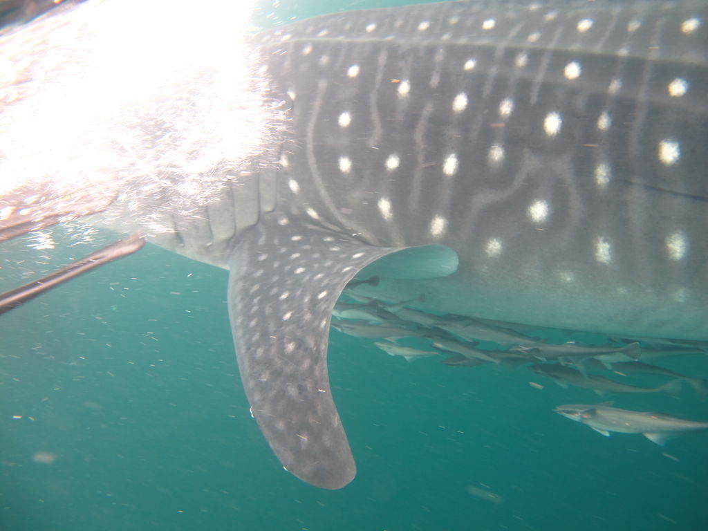 1652ae7b-51cf-44ce-a50e-da996bb6e592