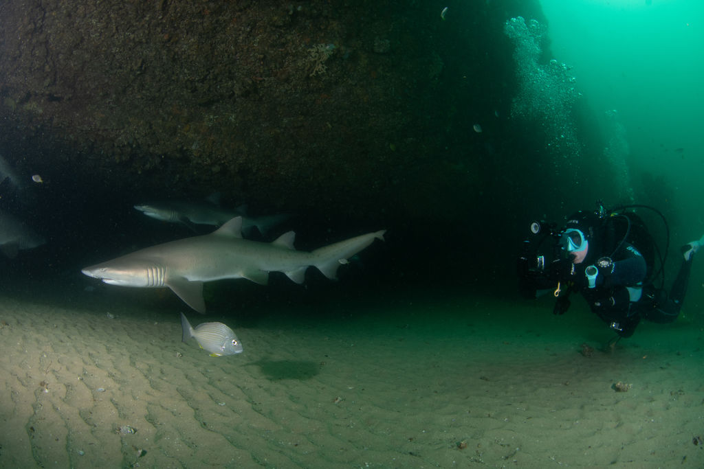 baa70f47-3df0-417a-a4ed-7b9db3a6e1e4