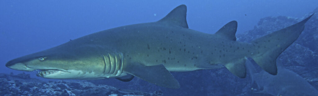 1ee40510-9206-4d40-a7d9-00dc4c852684