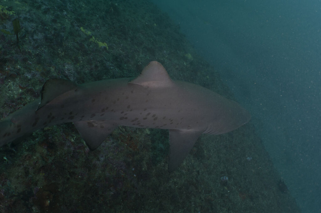 79b4579d-0125-4167-a084-cc841a05f0d7