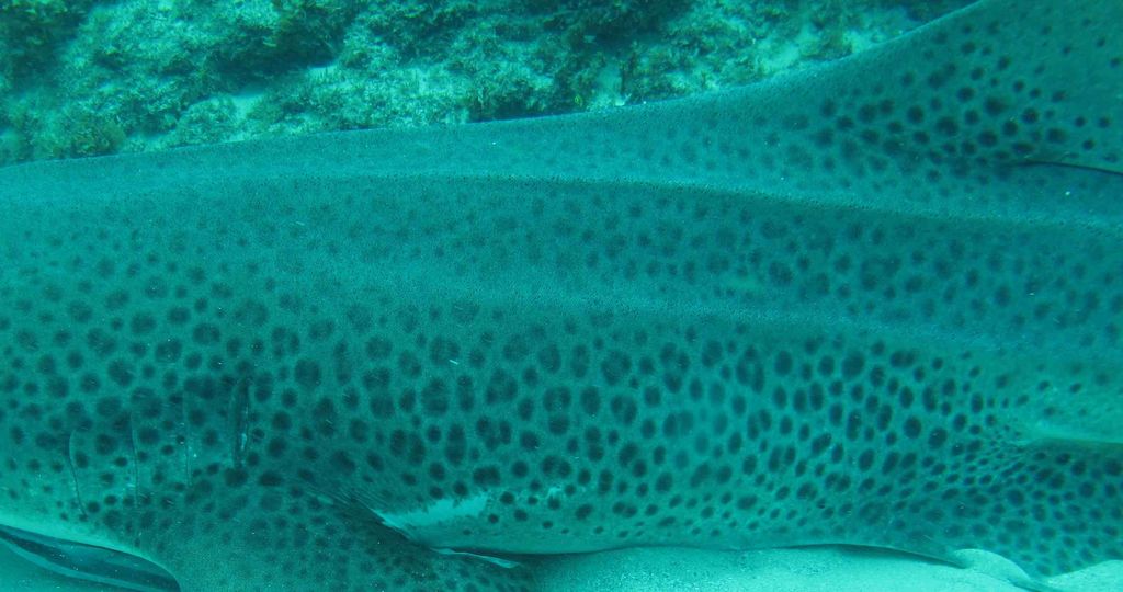 5756ae0d-e7fa-4efc-81a9-f6e62153d670