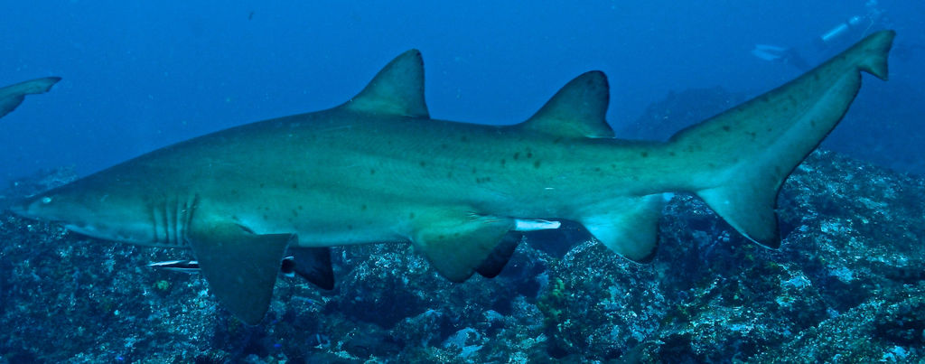 21cfe420-8fd2-4987-bdf5-a261bcf9e201