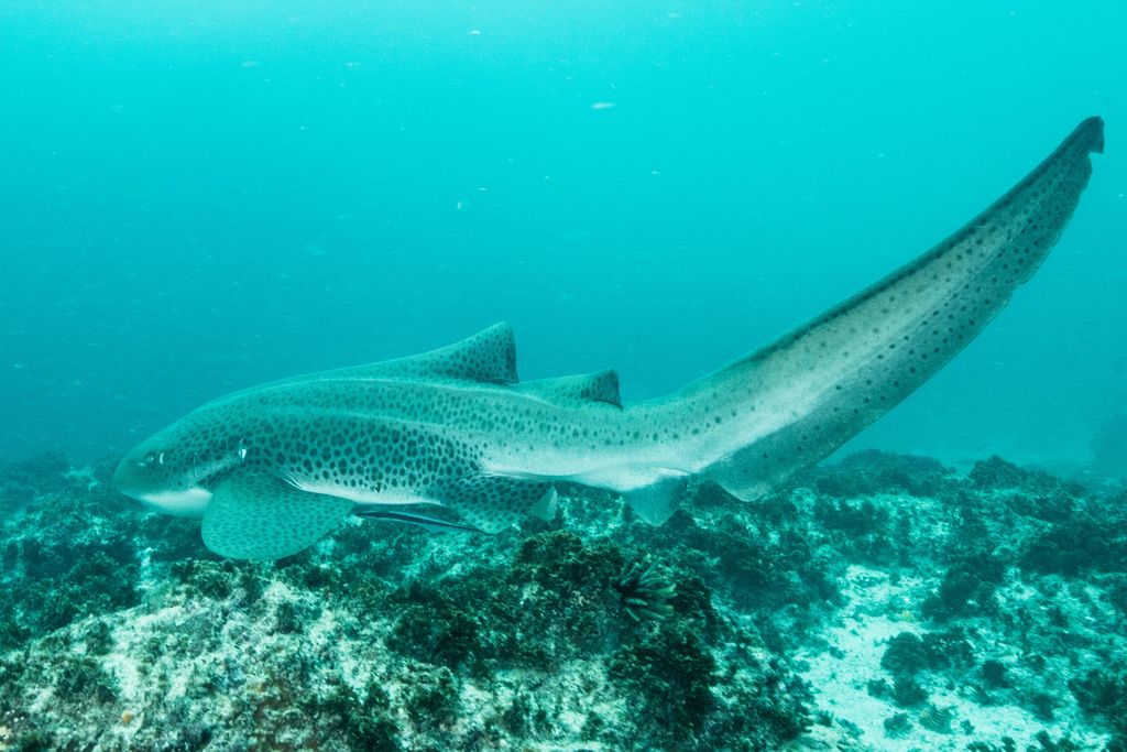 00474191-32ae-418b-a881-d50b263b2b95