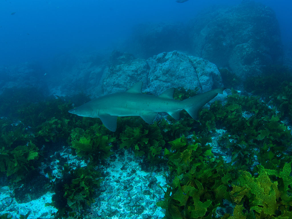 42473f04-c593-427c-adf9-396a4abb4089