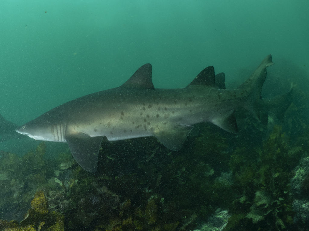 dfa11ef4-f474-47e1-aea0-f9e89e58059c