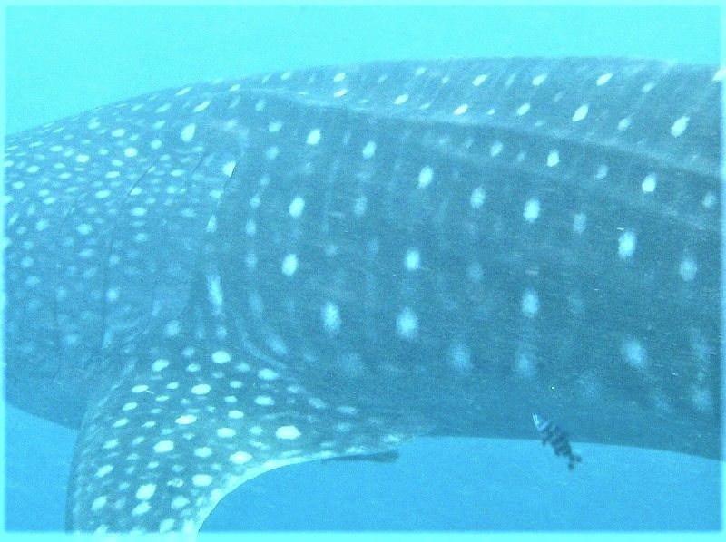 e7332dd0-8797-4c13-94d1-6d9ffdd8068b