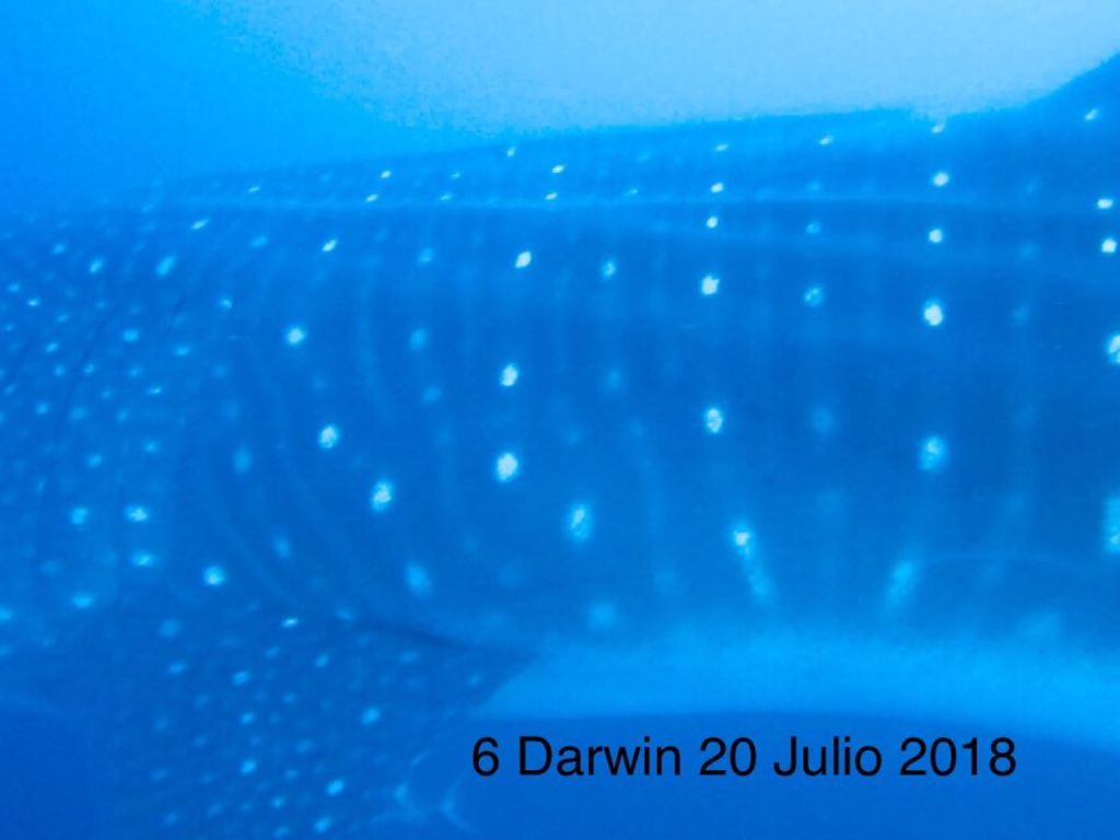 8b34ad8b-1a51-4cb9-9d9f-d6980ac5bf84