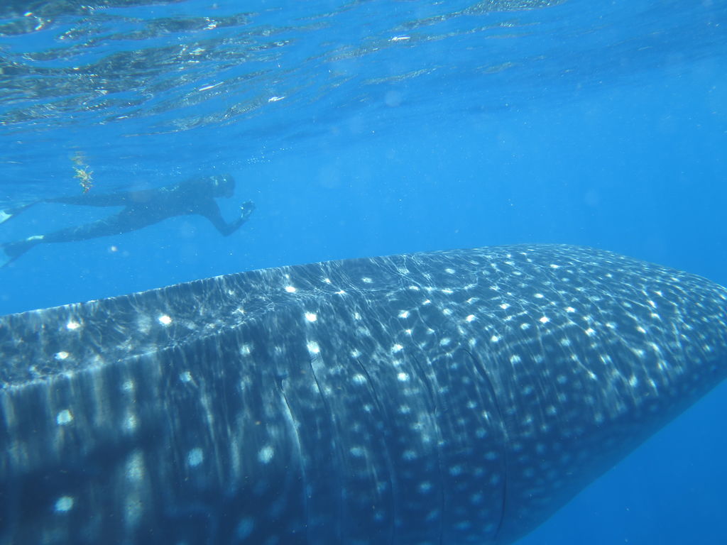 42d8d4e1-c7d2-424f-80a0-14b4d1036229