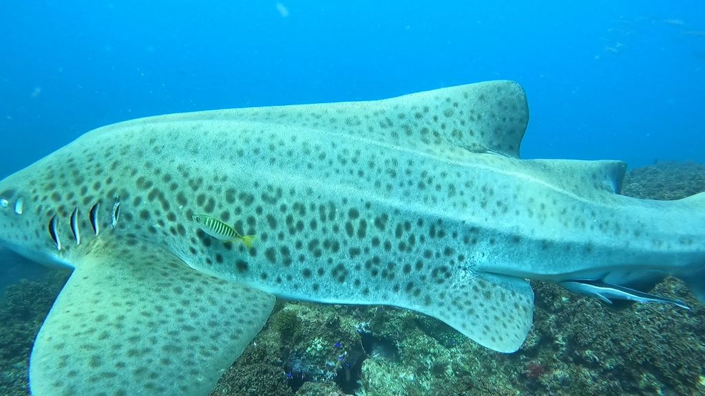 3aa1257d-81b4-488d-8deb-84c082645632