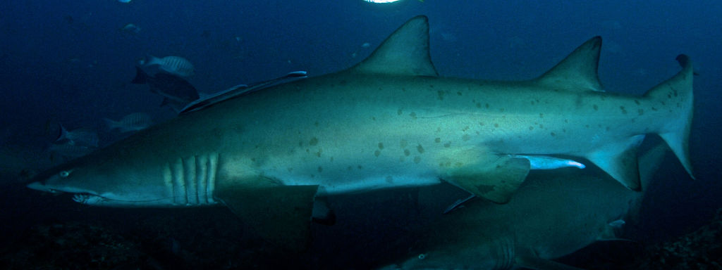 824fcc54-4f7a-44cf-aee1-122c26dfabdb