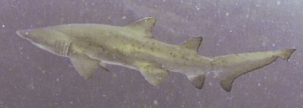 b4141fd2-fd66-4d33-8cc5-ccffe5ca793c