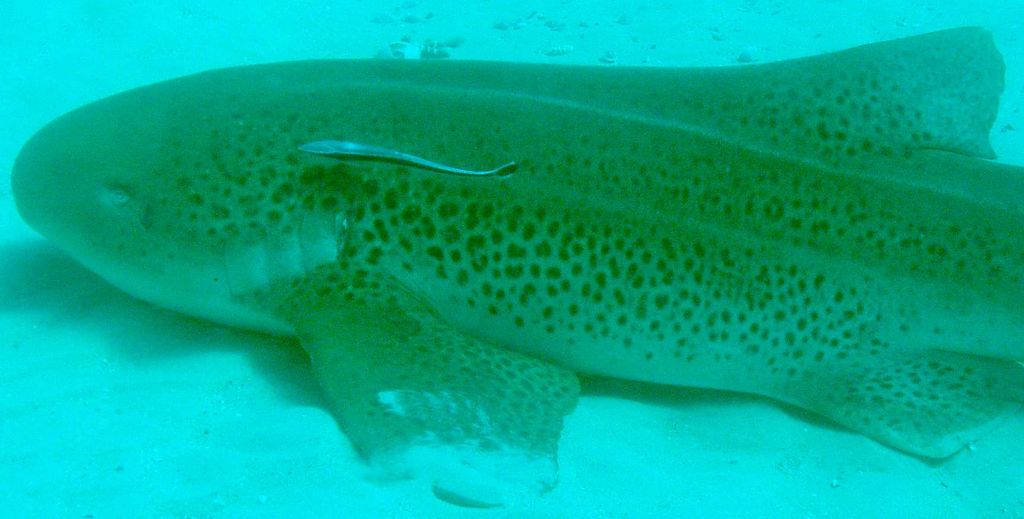 c1a0108a-4c45-4668-acb5-c873607952b3