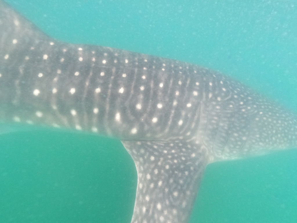 71179fd2-0069-4fa4-90f3-d595987adac6