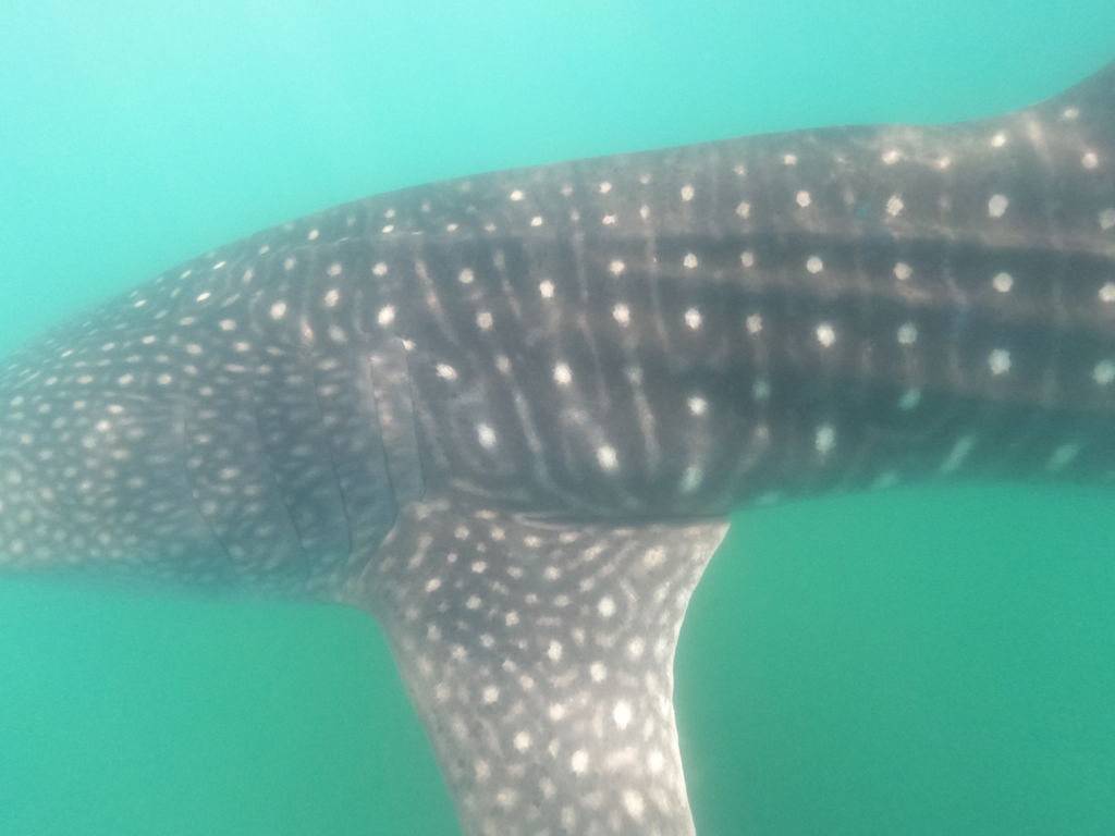 71179fd2-0069-4fa4-90f3-d595987adac6