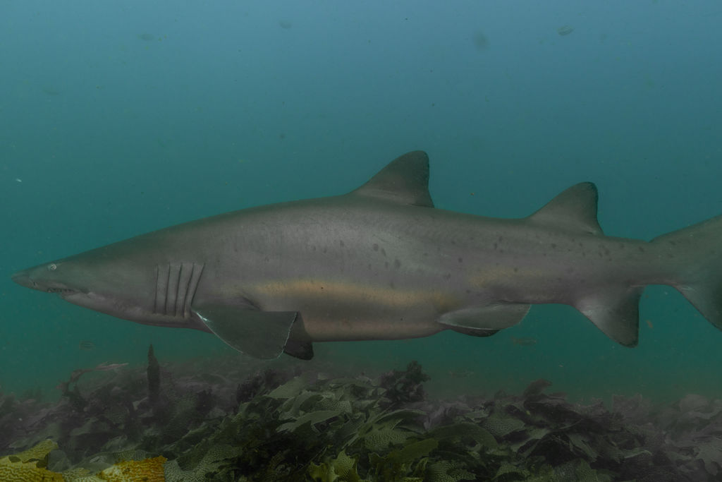 b006ecfa-e35e-4bd6-b394-702413982502