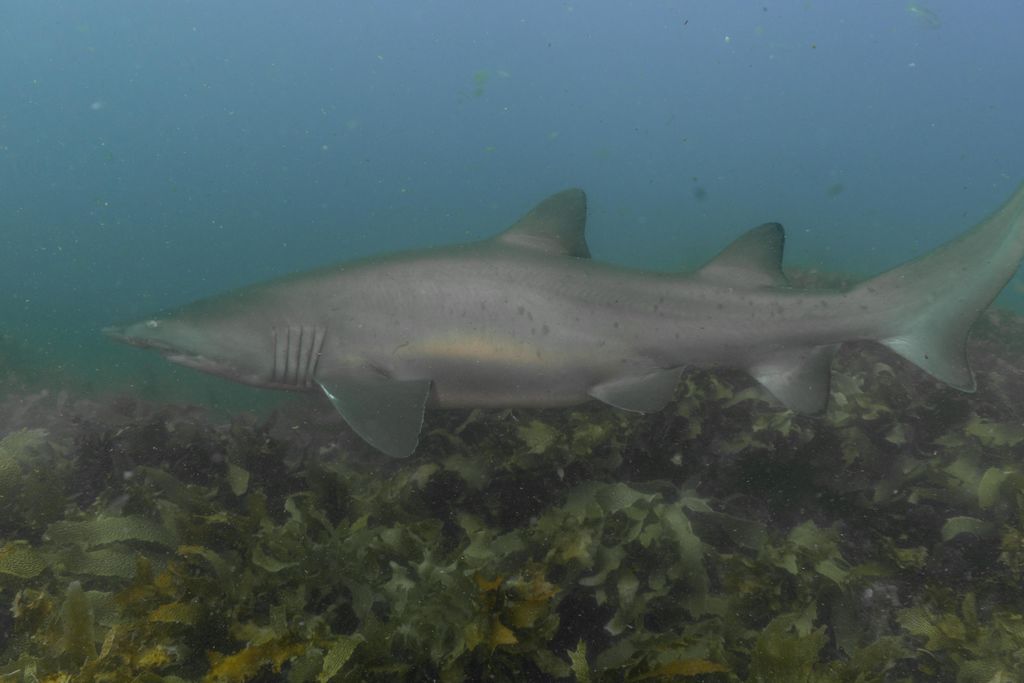 b006ecfa-e35e-4bd6-b394-702413982502