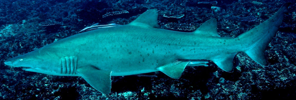 f90996ab-1558-4bfe-8935-95d53e889baa