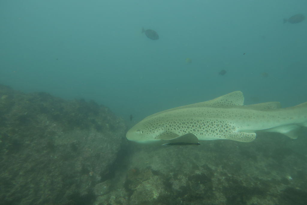 0fb20742-d56d-4855-bff9-fdc26ab4a53c