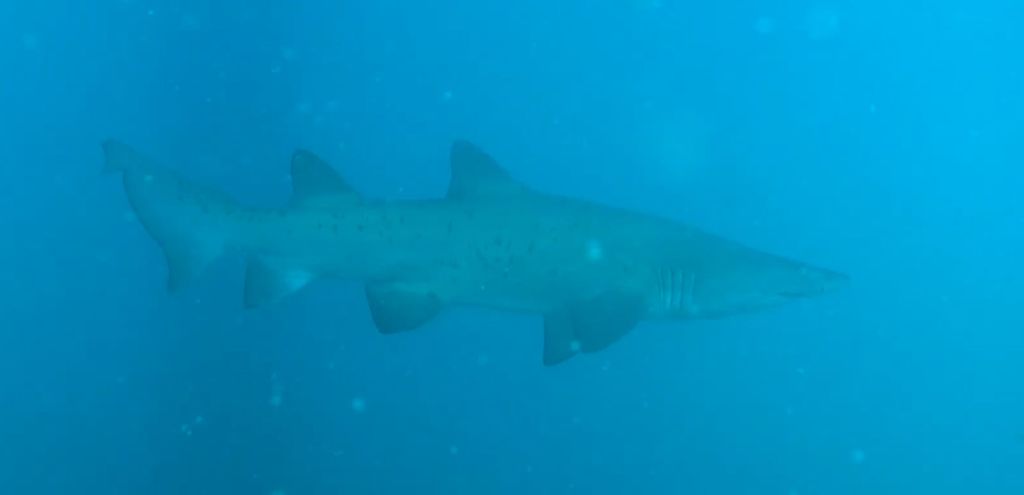 33aa0708-203e-40a0-9293-91a812ff8465