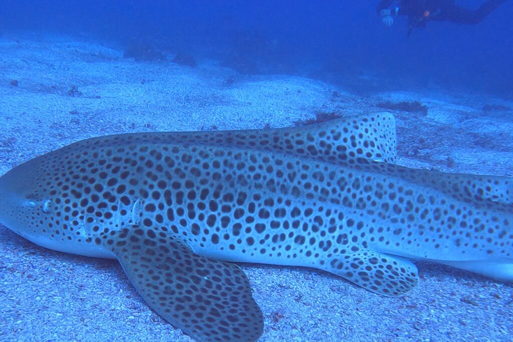 8d183822-cca5-4846-af8f-246e112f0016